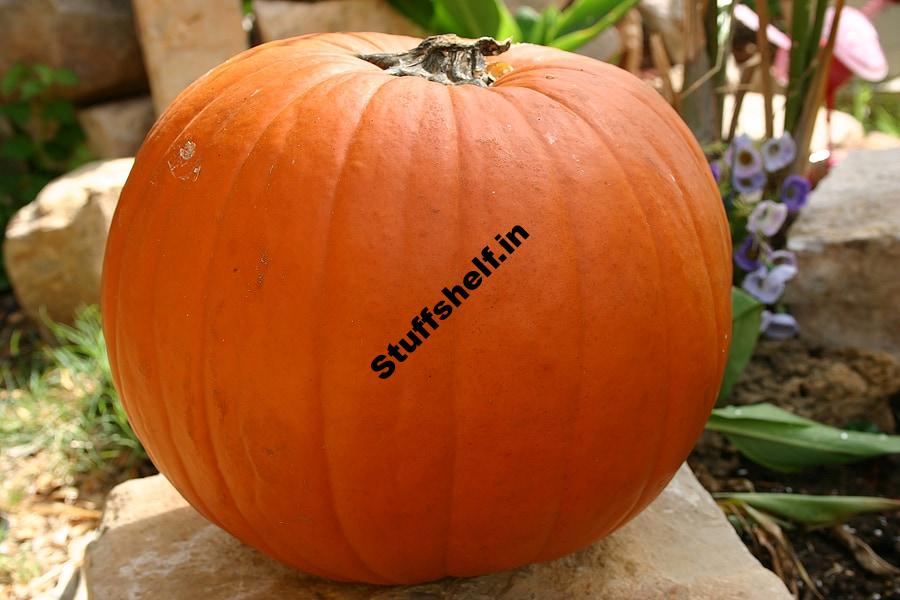 Pumpkin Size: Cooking and Carving