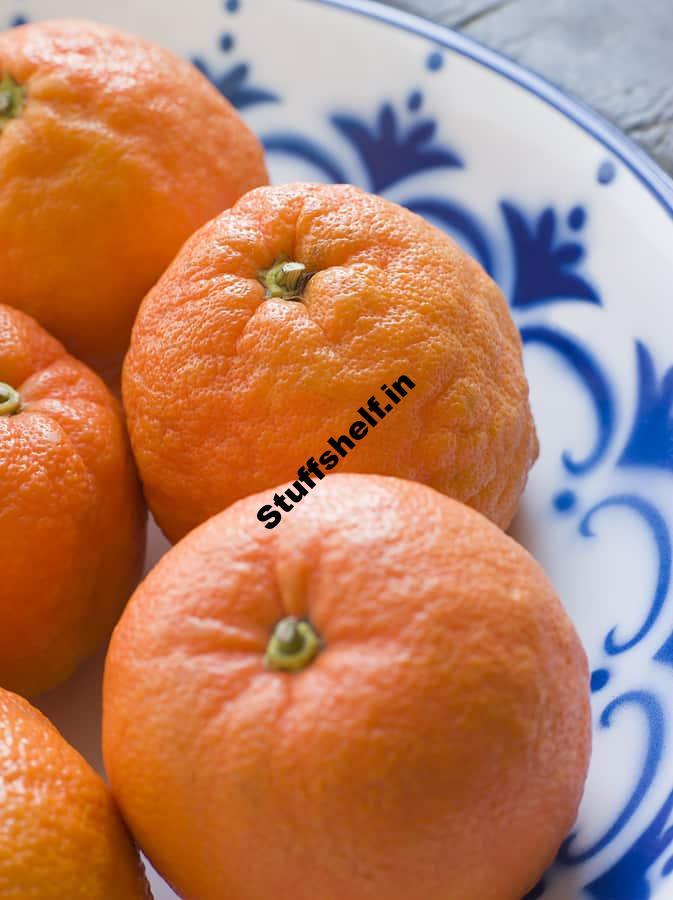 Sour Oranges: Kitchen Basics – Harvest to Table