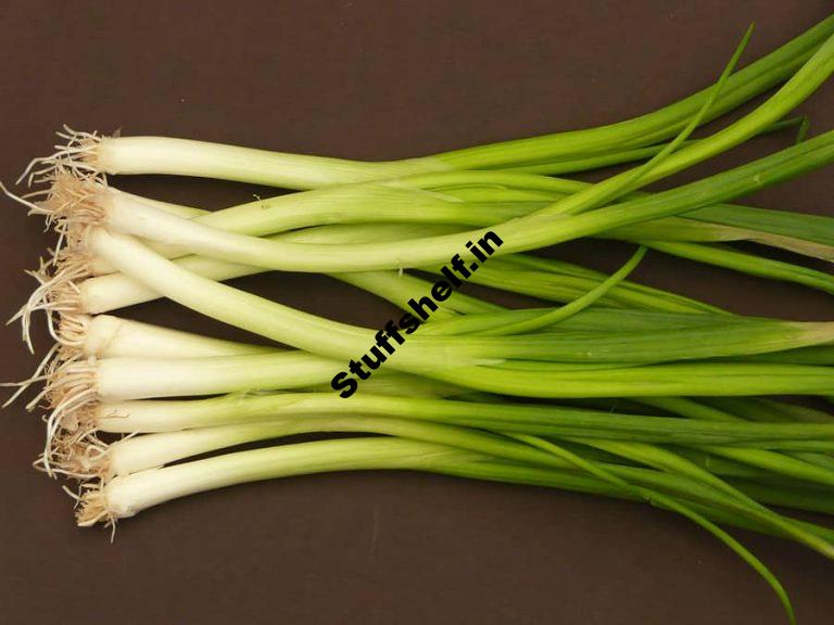 Spring Onions Green Onions and Scallions