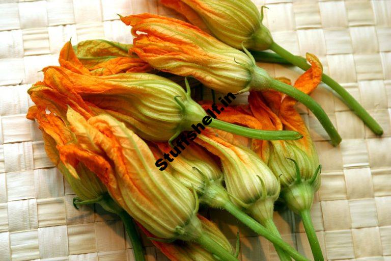 Squash Blossoms Harvest to Table