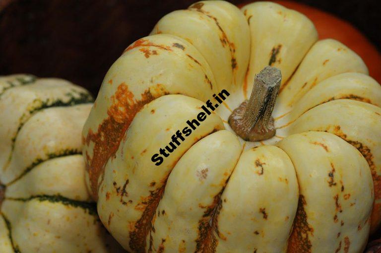 Squashes for Winter Cooking Harvest to Table