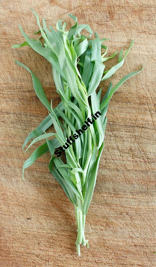 Tarragon Kitchen Basics Harvest to Table