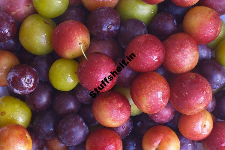 Plums Kitchen Basics Harvest to Table