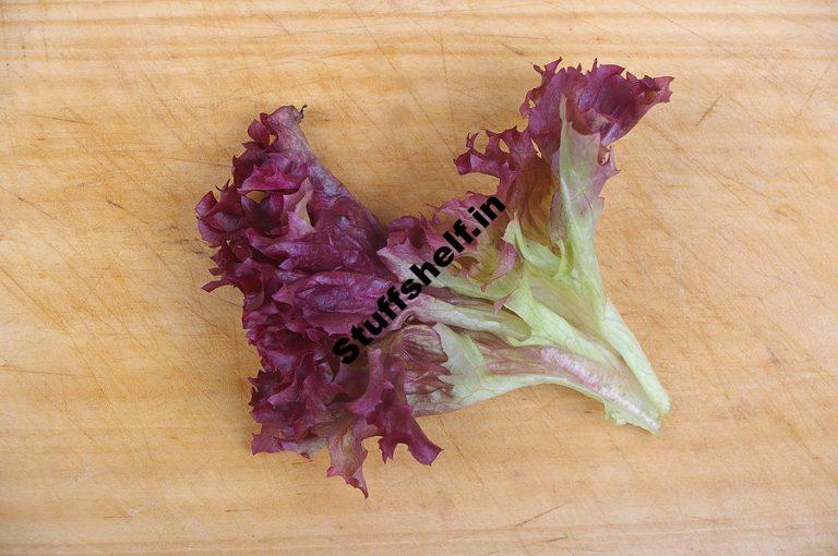 Red Butter Lettuce Harvest to Table