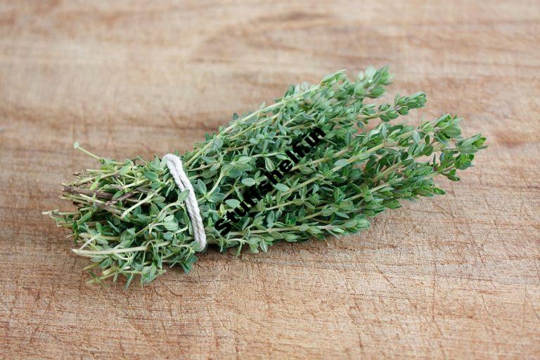 Thyme Kitchen Basics Harvest to Table