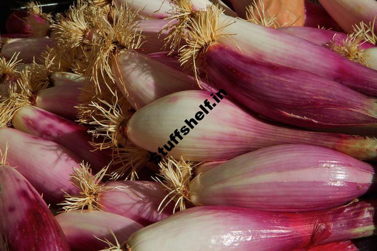 Tropea Onionthe Red Torpedo Harvest to Table