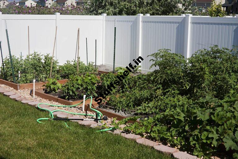 Vegetable Garden Microclimates – Harvest to Table