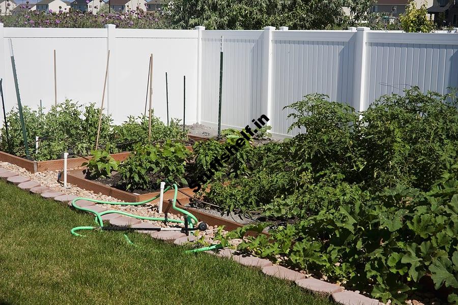 Vegetable Garden Microclimates – Harvest to Table