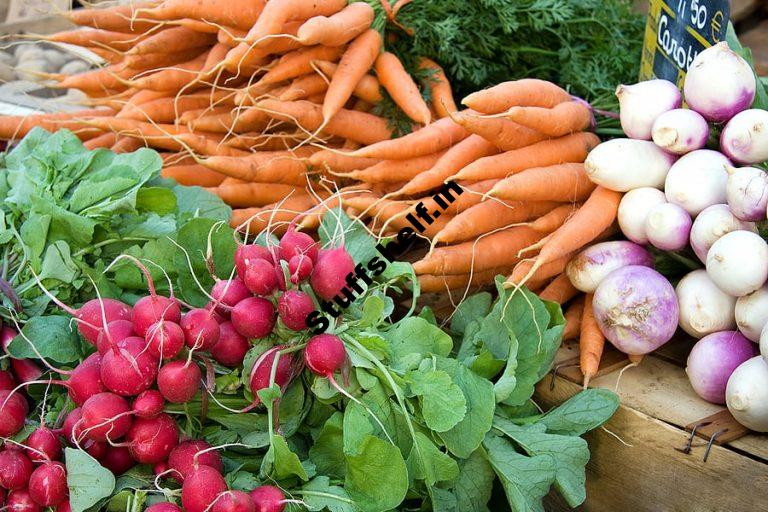 Vegetables for Fall Harvest Harvest to Table