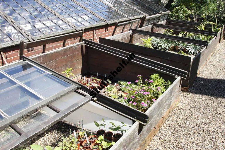 Cold Frame for Vegetables Harvest to Table