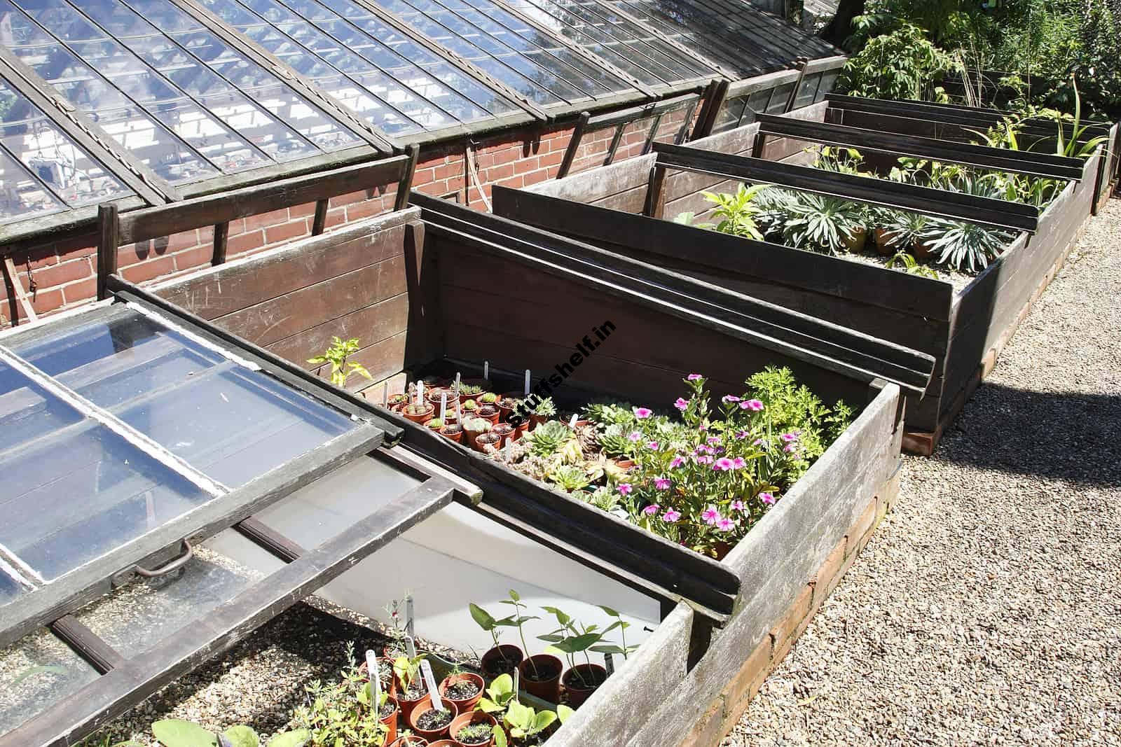 Cold Frame for Vegetables – Harvest to Table