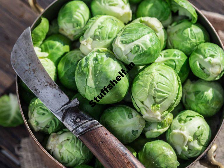 Brussels Sprout Harvesting and Storing Pointers