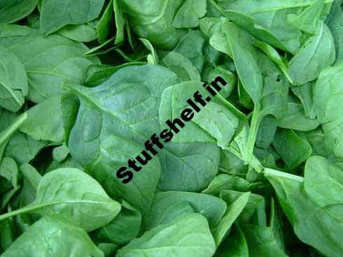 Spinach Harvest and Store Tips