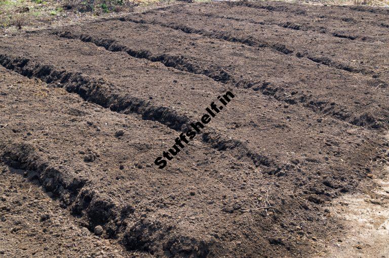 Make a New Garden Bed Step-by-Step