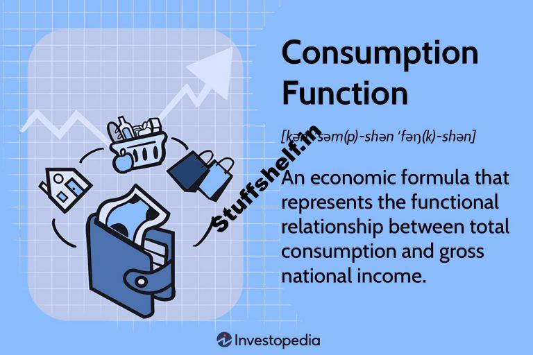 Consumption Function Formula Assumptions and Implications