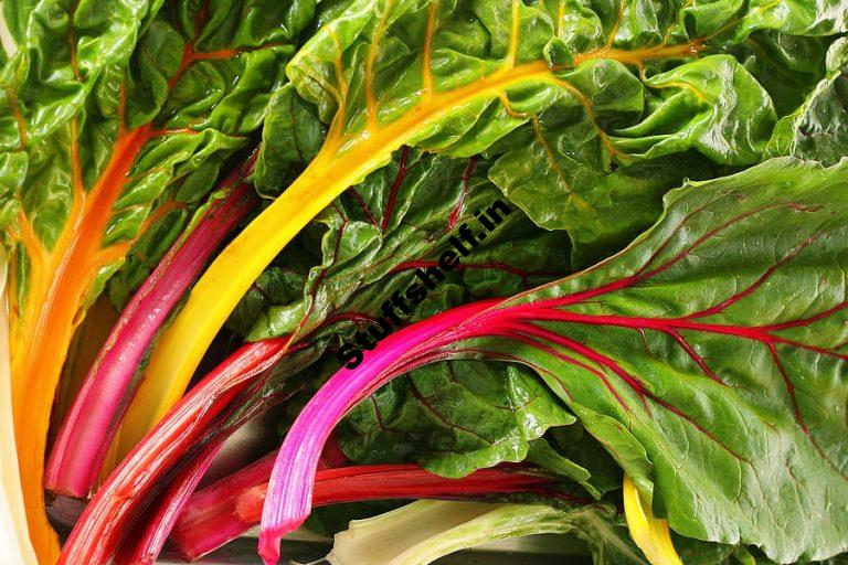 Swiss Chard Kitchen Basics Harvest to Table