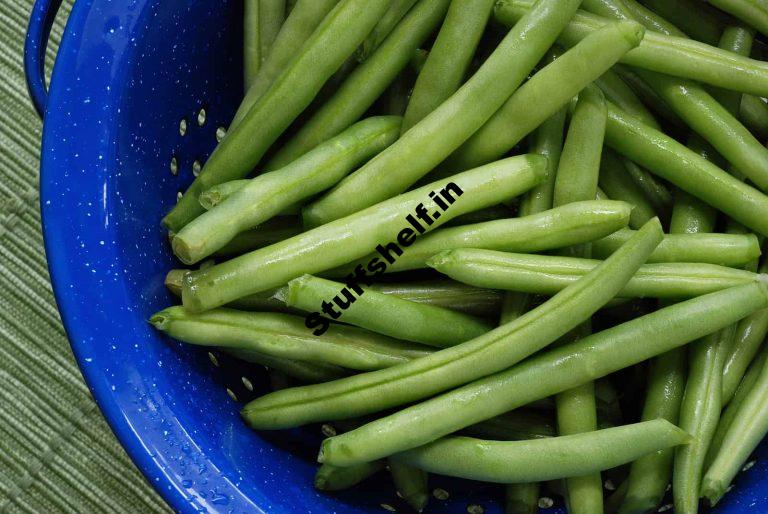 Snap Beans Harvest and Storage