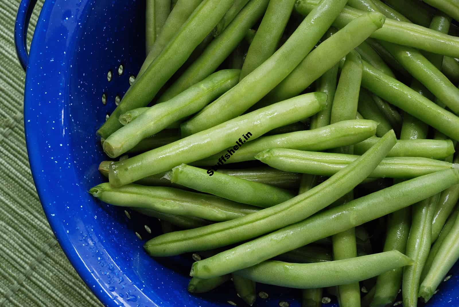 Snap Beans Harvest and Storage