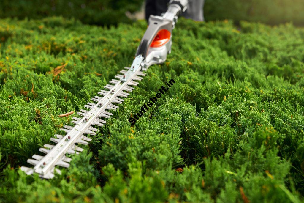 Hedge Trimmer Buyers Guide Best Rated