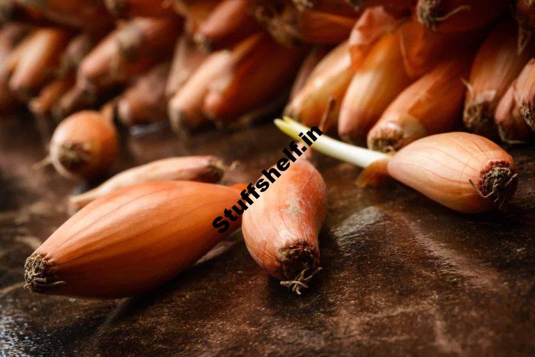 How to Plant Grow and Harvest Shallots