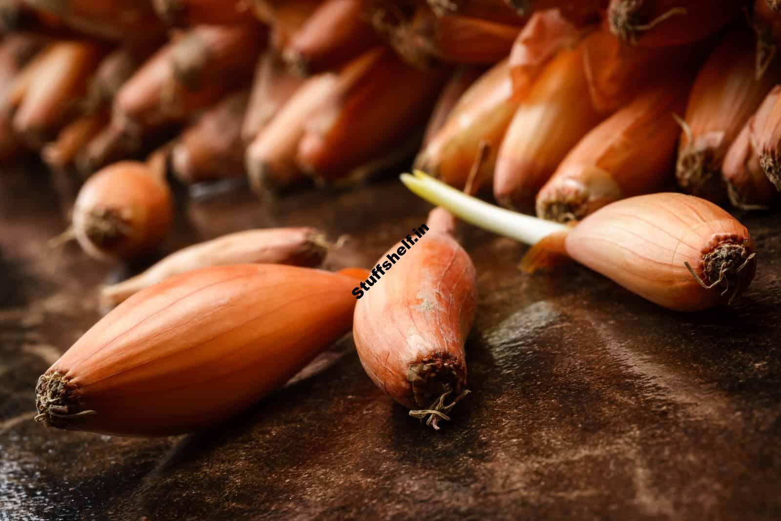 How to Plant, Grow, and Harvest Shallots