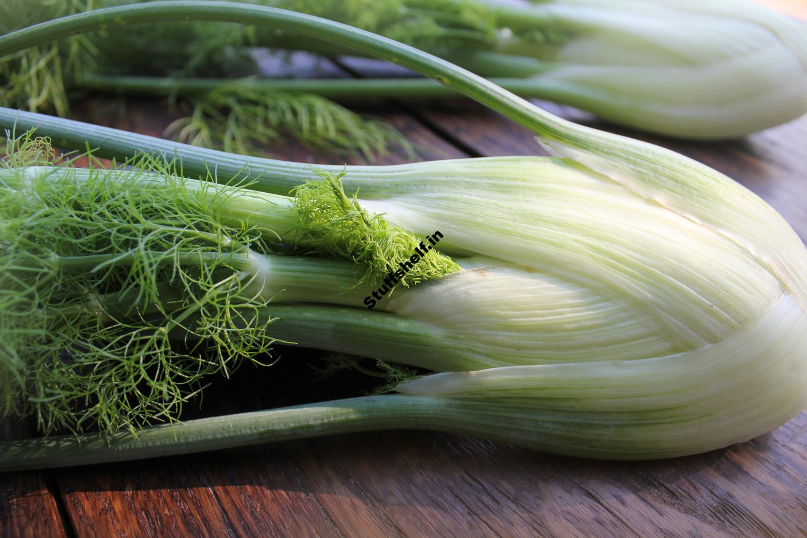 How to Plant, Grow, and Harvest Florence Fennel -Harvest to Table