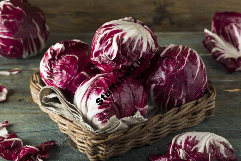 How to Plant Grow and Harvest Radicchio