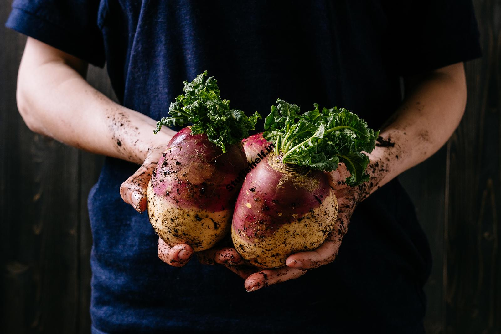 How to Plant, Grow, and Harvest Rutabaga